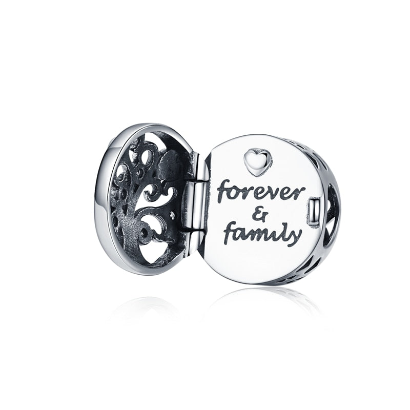 925 Sterling Silver Charm